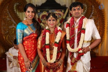 Raviprasad Grand Daughter Wedding Photos - 3 of 34