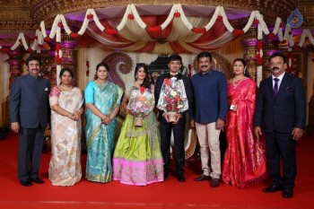 Raviprasad Grand Daughter Wedding Photos - 8 of 34