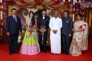Raviprasad Grand Daughter Wedding Photos - 11 of 34