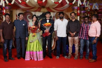 Raviprasad Grand Daughter Wedding Photos - 12 of 34