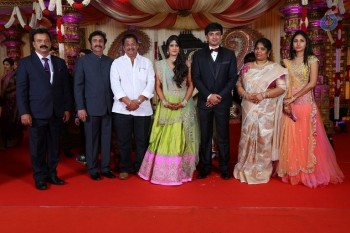 Raviprasad Grand Daughter Wedding Photos - 13 of 34
