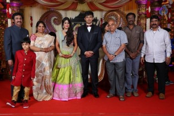 Raviprasad Grand Daughter Wedding Photos - 16 of 34