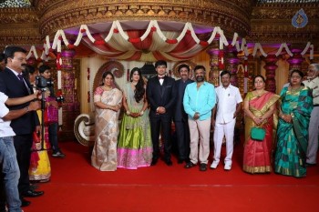 Raviprasad Grand Daughter Wedding Photos - 17 of 34