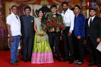 Raviprasad Grand Daughter Wedding Photos - 19 of 34