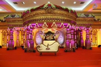 Raviprasad Grand Daughter Wedding Photos - 20 of 34