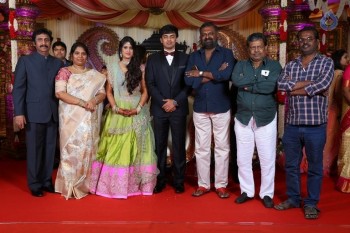 Raviprasad Grand Daughter Wedding Photos - 21 of 34