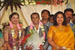Senthil Son Wedding Reception Photos - 11 of 88