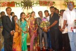 Senthil Son Wedding Reception Photos - 13 of 88