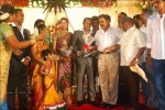 Senthil Son Wedding Reception Photos - 15 of 88