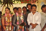 Senthil Son Wedding Reception Photos - 18 of 88