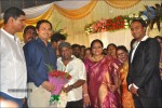 Senthil Son Wedding Reception Photos - 19 of 88