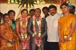 Senthil Son Wedding Reception Photos - 21 of 88