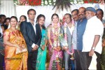 Senthil Son Wedding Reception Photos - 45 of 88