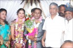 Senthil Son Wedding Reception Photos - 72 of 88