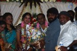 Senthil Son Wedding Reception Photos - 77 of 88