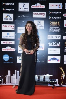 SIIMA 2016 Awards Day 2 - 3 of 32