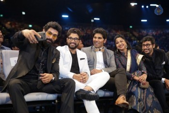 SIIMA 2016 Awards Function Photos Day 2 - 52 of 99