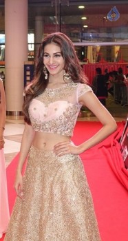 SIIMA Awards 2015 Day 2 Photos - 27 of 70