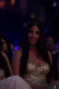 SIIMA Awards 2015 Photos - 22 of 58