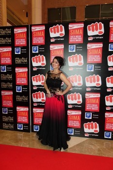 SIIMA Awards 2015 Red Carpet Photos - 27 of 35