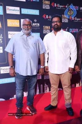 SIIMA Awards 2018 Day 2 - 3 of 46