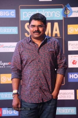 SIIMA Awards 2018 Day 2 - 13 of 46
