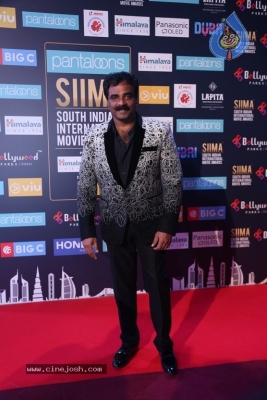 SIIMA Awards 2018 Day 2 - 15 of 46