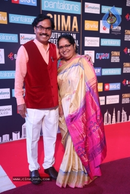 SIIMA Awards 2018 Day 2 - 18 of 46