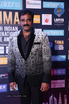 SIIMA Awards 2018 Day 2 - 26 of 46
