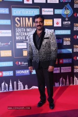 SIIMA Awards 2018 Day 2 - 29 of 46