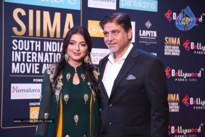 SIIMA Awards 2018 Day 2 - 34 of 46
