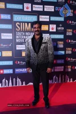 SIIMA Awards 2018 Day 2 - 36 of 46