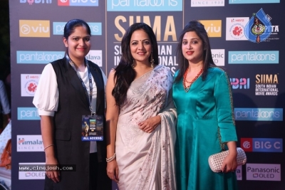 SIIMA Awards 2018 Day 2 - 38 of 46