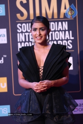 SIIMA Awards 2018 Day 2 - 40 of 46