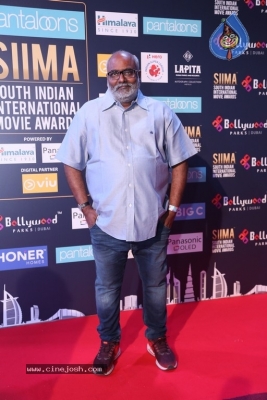 SIIMA Awards 2018 Day 2 - 41 of 46