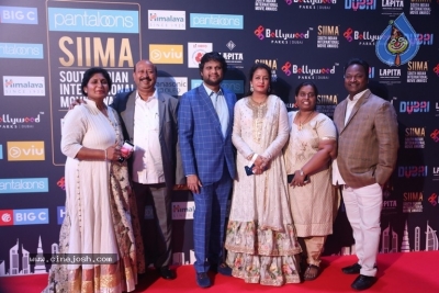 SIIMA Awards 2018 Day 2 - 45 of 46