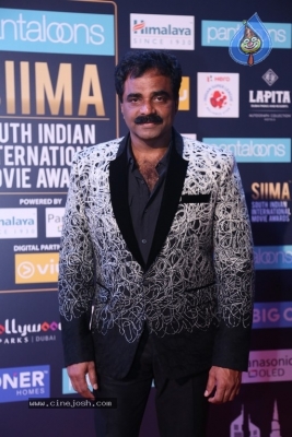 SIIMA Awards 2018 Day 2 - 46 of 46