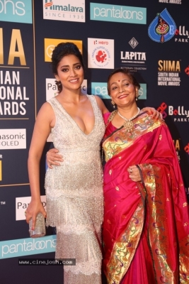 SIIMA Awards 2018 Day 2 Red Carpet - 37 of 59