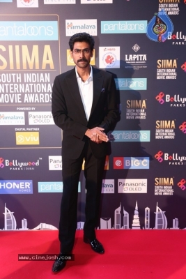 SIIMA Awards 2018 Day 2 Red Carpet - 38 of 59