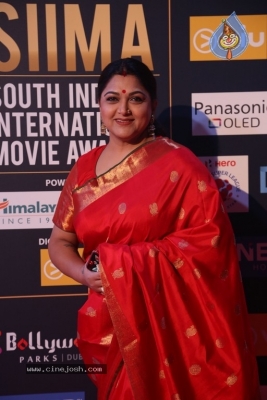 SIIMA Awards 2018 Day 2 Red Carpet Set 2 - 22 of 25