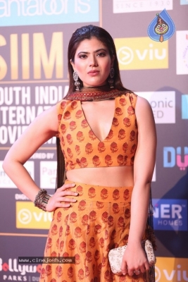 Siima Awards 2018 Red Carpet Day 01 - 47 of 102