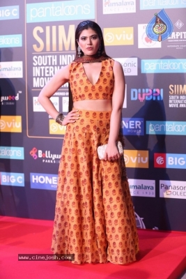 Siima Awards 2018 Red Carpet Day 01 - 51 of 102