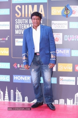 Siima Awards 2018 Red Carpet Day 01 - 57 of 102