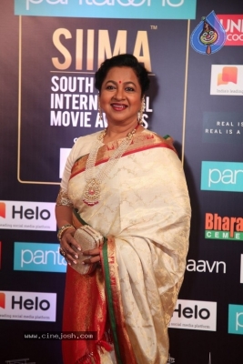 SIIMA Awards 2019 Day2 - 15 of 73