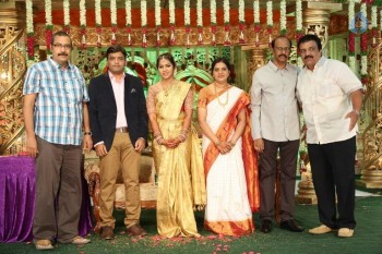 Siva Nageswara rao Daughter Wedding Photos 1 - 20 of 82