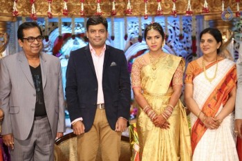 Siva Nageswara rao Daughter Wedding Photos 1 - 29 of 82