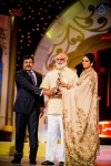 South Indian International Movie Awards 2014 - 27 of 255