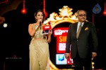 South Indian International Movie Awards 2014 - 37 of 255