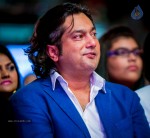 South Indian International Movie Awards 2014 - 106 of 255