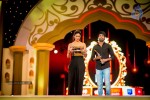 South Indian International Movie Awards 2014 - 135 of 255